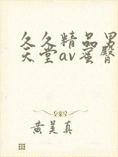 久久精品男人的天堂av蜜臀