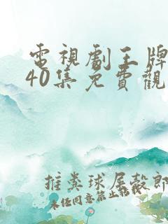 电视剧王牌部队40集免费观看