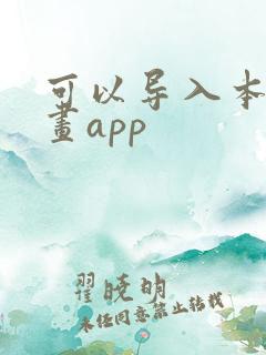 可以导入本地漫画app