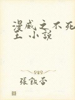 漫威之不死者之王 小说