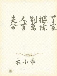 夫人别抠了你老公有万亿家产在线观看短剧