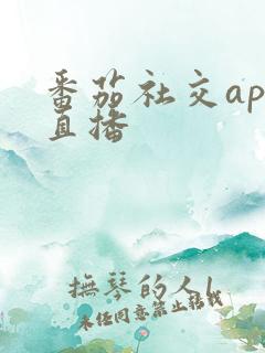 番茄社交app直播