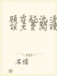 顾霆骁沈潇潇小说免费阅读