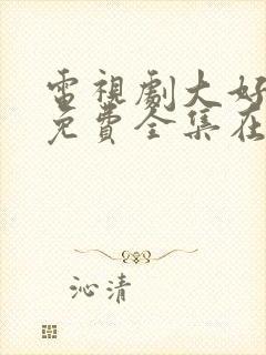 电视剧大好时光免费全集在线观看