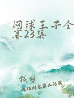 网球王子全国大赛23集