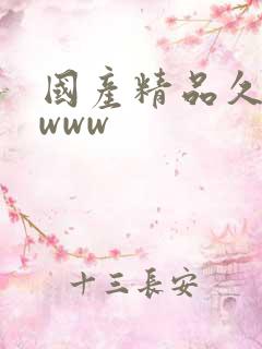 国产精品久久久www