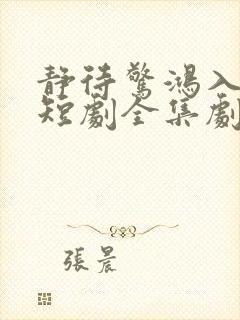 静待惊鸿入瓮慌短剧全集剧情简介