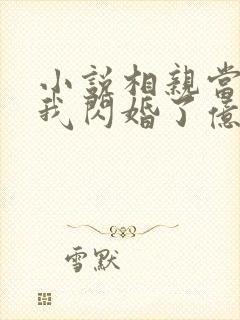 小说相亲当天,我闪婚了亿万富豪下载