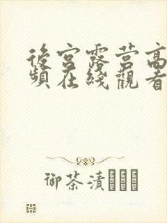 后宫露营高清视频在线观看