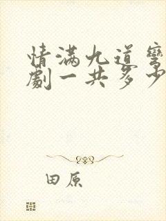 情满九道弯电视剧一共多少集