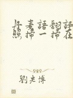 丹麦语翻译器拍照扫一扫在线