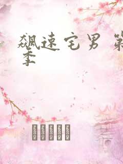 飙速宅男 第五季