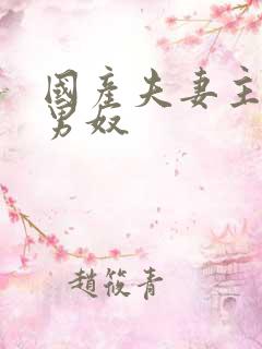 国产夫妻主调教男奴