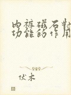 内裤磁石对男性功能的作用是什么