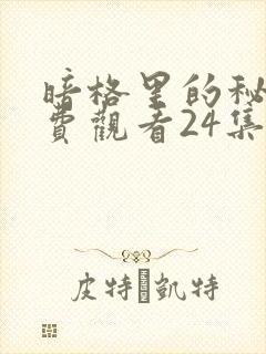 暗格里的秘密免费观看24集全