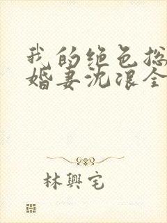 我的绝色总裁未婚妻沈浪全本