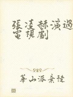 张凌赫演过什么电视剧