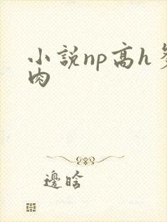小说np高h多肉