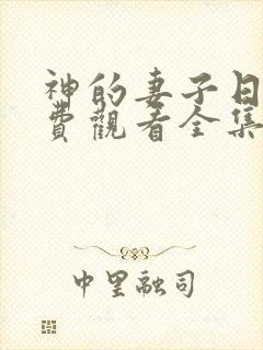 神的妻子日剧免费观看全集高清