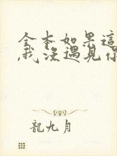 全本如果这一秒,我没遇见你