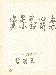 你是我心上的月光小说简亦初