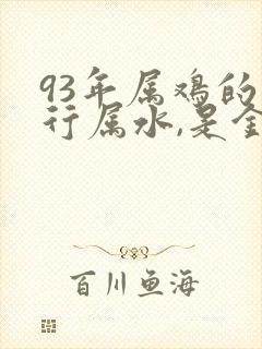 93年属鸡的五行属水,是金命