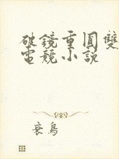 破镜重圆双男主电竞小说