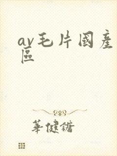 av毛片国产一区