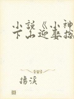 小说《小神医:下山迎娶总裁未婚妻》