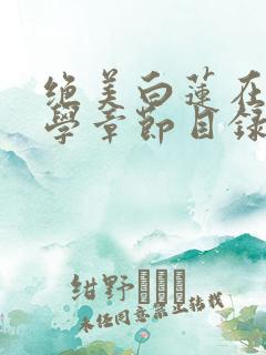 绝美白莲在线教学章节目录