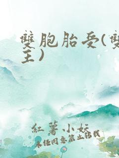 双胞胎受(双男主)