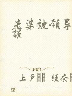 老婆被领导操小说