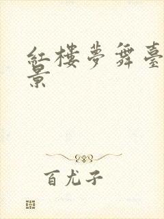 红楼梦舞台剧背景