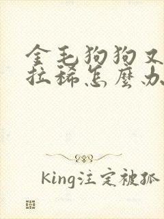 金毛狗狗又吐又拉稀怎么办