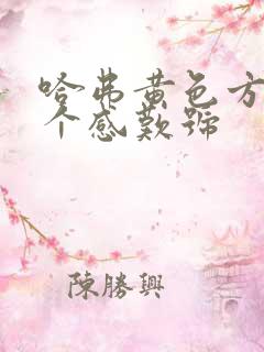 哈弗黄色方框有个感叹号