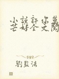 小说许你万丈光芒好全文阅读