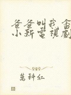 爸爸叫我畲妈妈小新电视剧免费观看