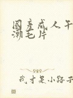 国产成人午夜高潮毛片