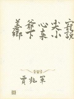 姜爷心尖宠她从乡下来小说免费看