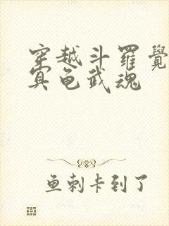 穿越斗罗觉醒玄冥龟武魂