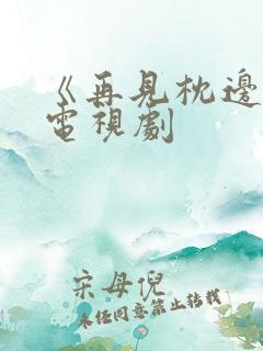 《再见枕边人》电视剧