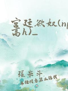 宫廷欲奴(np高h)_