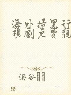 海外扫黑行动电视剧免费观看