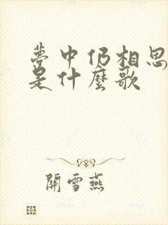 梦中仍相思歌词是什么歌