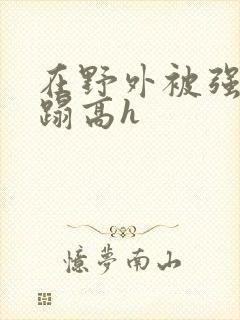 在野外被强行糟蹋高h