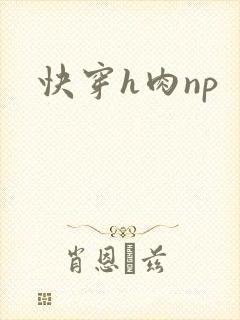 快穿h肉np