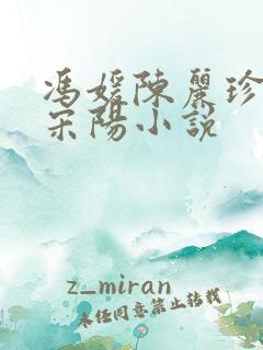 冯媛陈丽珍女婿宋阳小说