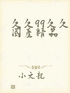 久久99久久久国产精品