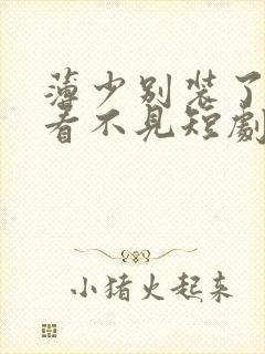 薄少别装了夫人看不见短剧免费观看