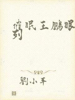 催眠王鹏眼镜系列